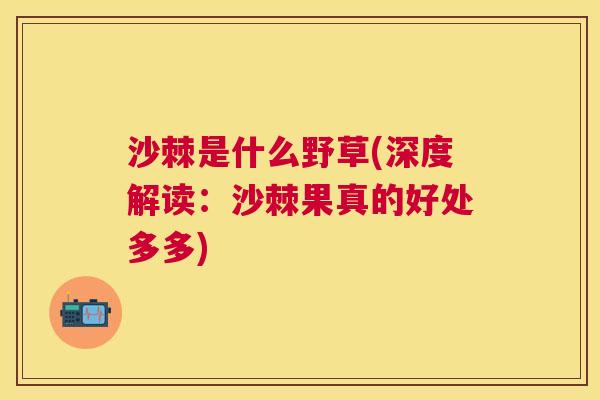 沙棘是什么野草(深度解读：沙棘果真的好处多多)