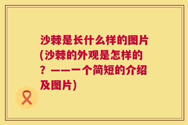 沙棘是长什么样的图片(沙棘的外观是怎样的？——一个简短的介绍及图片)