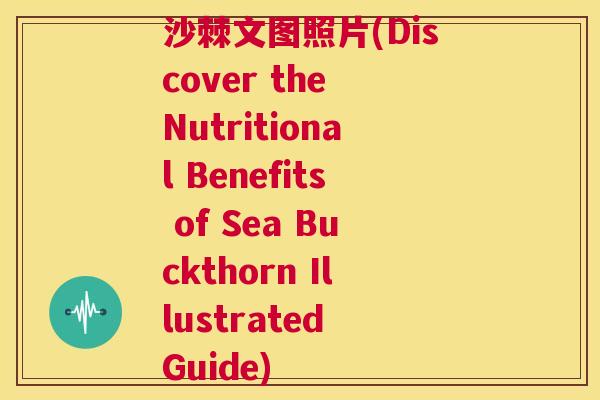 沙棘文图照片(Discover the Nutritional Benefits of Sea Buckthorn Illustrated Guide)