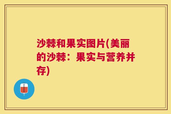 沙棘和果实图片(美丽的沙棘：果实与营养并存)