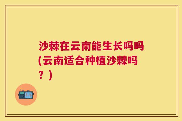 沙棘在云南能生长吗吗(云南适合种植沙棘吗？)