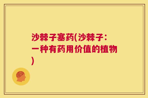 沙棘子塞药(沙棘子：一种有药用价值的植物)