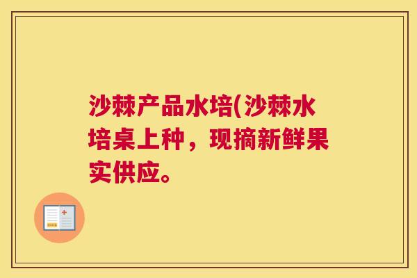 沙棘产品水培(沙棘水培桌上种，现摘新鲜果实供应。