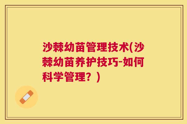 沙棘幼苗管理技术(沙棘幼苗养护技巧-如何科学管理？)