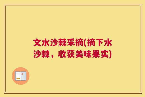 文水沙棘采摘(摘下水沙棘，收获美味果实)