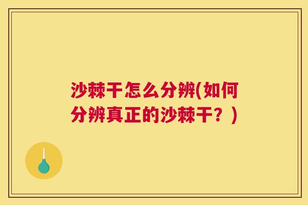 沙棘干怎么分辨(如何分辨真正的沙棘干？)
