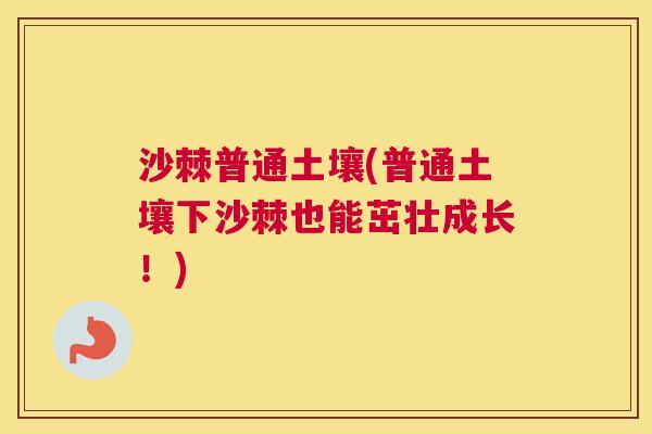 沙棘普通土壤(普通土壤下沙棘也能茁壮成长！)