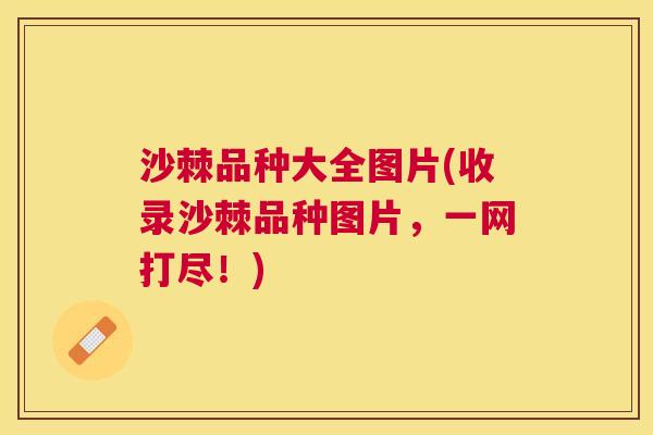 沙棘品种大全图片(收录沙棘品种图片，一网打尽！)