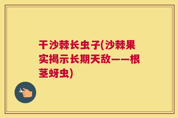 干沙棘长虫子(沙棘果实揭示长期天敌——根茎蚜虫)