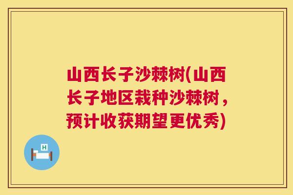 山西长子沙棘树(山西长子地区栽种沙棘树，预计收获期望更优秀)