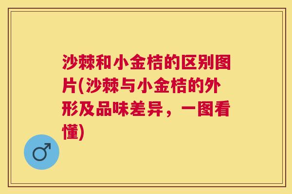 沙棘和小金桔的区别图片(沙棘与小金桔的外形及品味差异，一图看懂)
