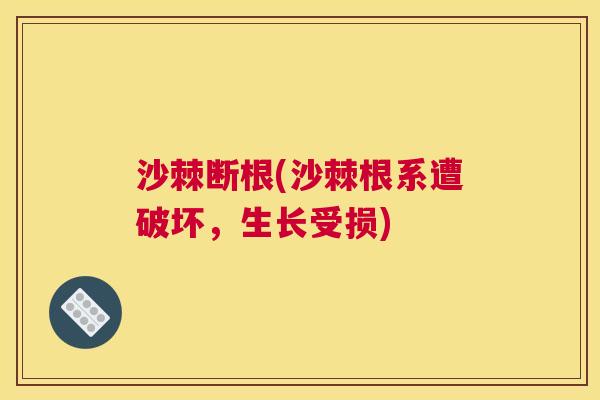 沙棘断根(沙棘根系遭破坏，生长受损)