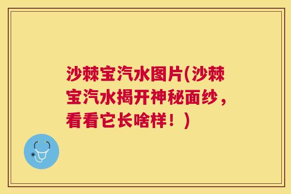 沙棘宝汽水图片(沙棘宝汽水揭开神秘面纱，看看它长啥样！)
