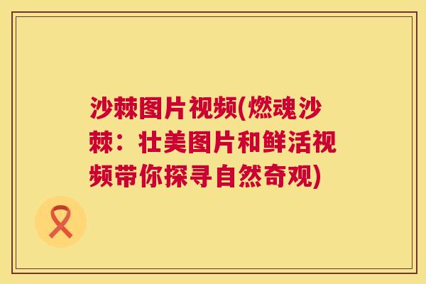 沙棘图片视频(燃魂沙棘：壮美图片和鲜活视频带你探寻自然奇观)
