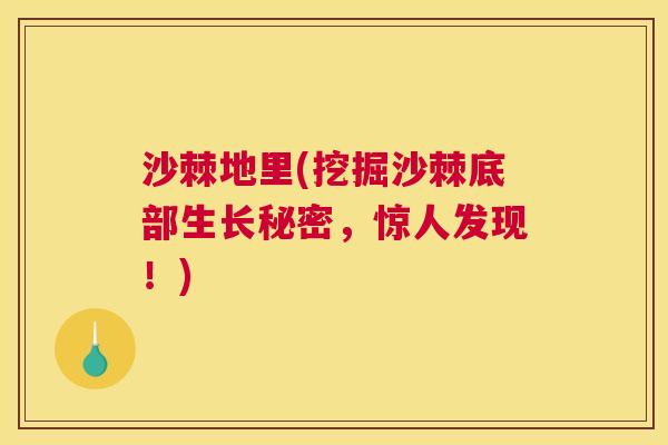 沙棘地里(挖掘沙棘底部生长秘密，惊人发现！)
