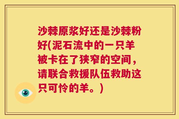 沙棘原浆好还是沙棘粉好(泥石流中的一只羊被卡在了狭窄的空间，请联合救援队伍救助这只可怜的羊。)