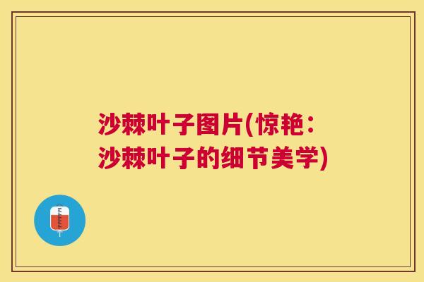 沙棘叶子图片(惊艳：沙棘叶子的细节美学)
