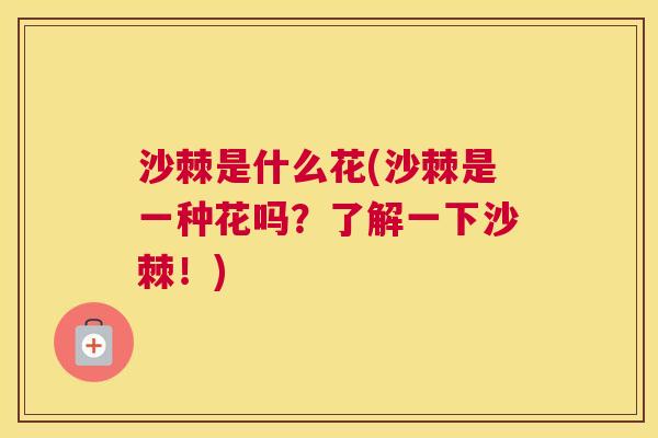 沙棘是什么花(沙棘是一种花吗？了解一下沙棘！)