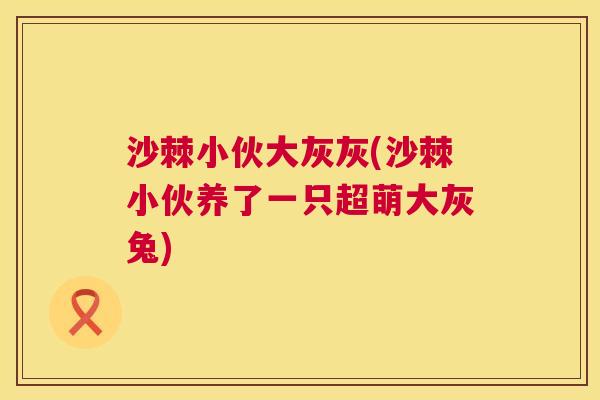 沙棘小伙大灰灰(沙棘小伙养了一只超萌大灰兔)