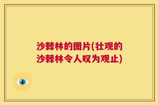 沙棘林的图片(壮观的沙棘林令人叹为观止)