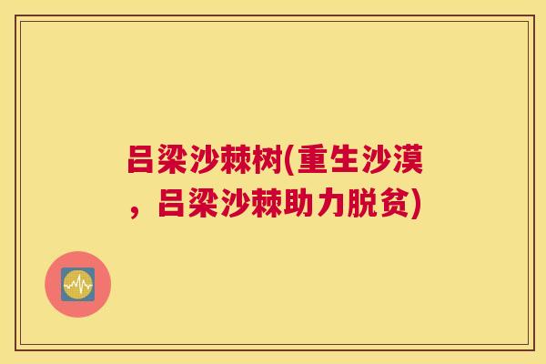 吕梁沙棘树(重生沙漠，吕梁沙棘助力脱贫)