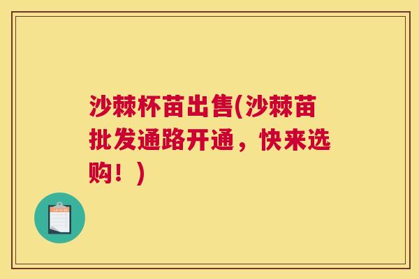 沙棘杯苗出售(沙棘苗批发通路开通，快来选购！)
