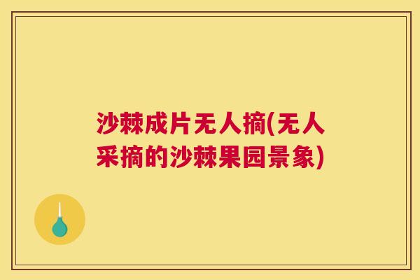 沙棘成片无人摘(无人采摘的沙棘果园景象)