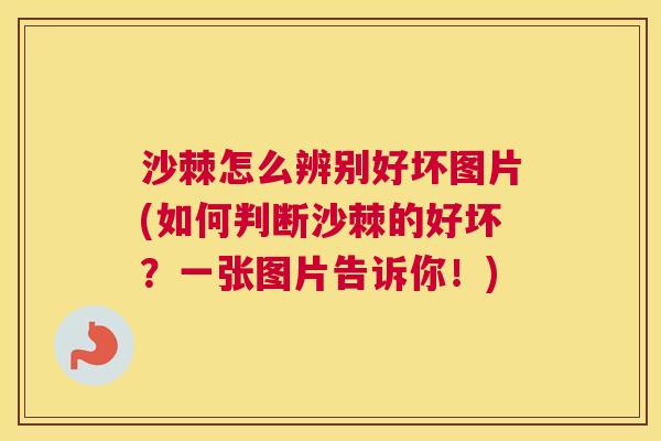 沙棘怎么辨别好坏图片(如何判断沙棘的好坏?一张图片告诉你!) 沙棘怎么辨别好坏图片(如何判断沙棘的好坏?一张图片告诉你!)