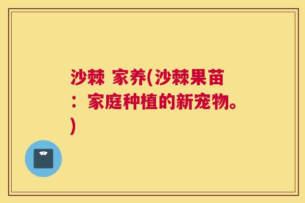 沙棘 家养(沙棘果苗：家庭种植的新宠物。)