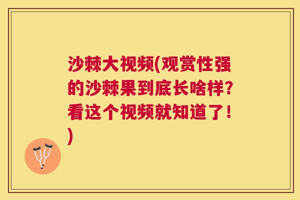 沙棘大视频(观赏性强的沙棘果到底长啥样？看这个视频就知道了！)