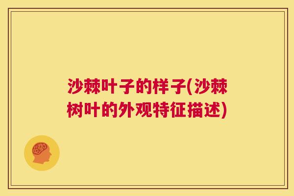 沙棘叶子的样子(沙棘树叶的外观特征描述)