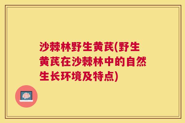 沙棘林野生黄芪(野生黄芪在沙棘林中的自然生长环境及特点)