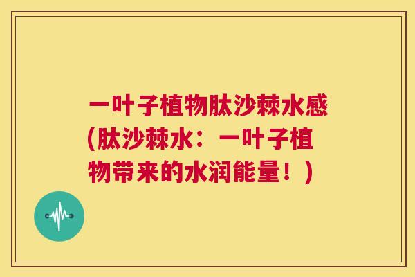一叶子植物肽沙棘水感(肽沙棘水：一叶子植物带来的水润能量！)