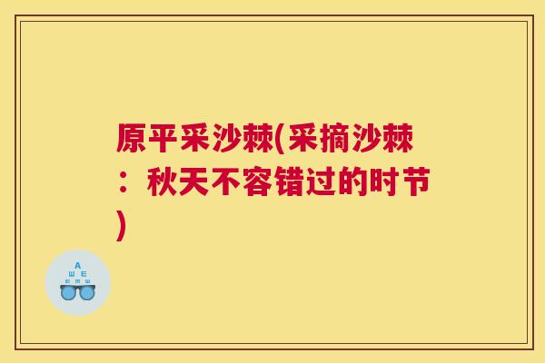 原平采沙棘(采摘沙棘：秋天不容错过的时节)