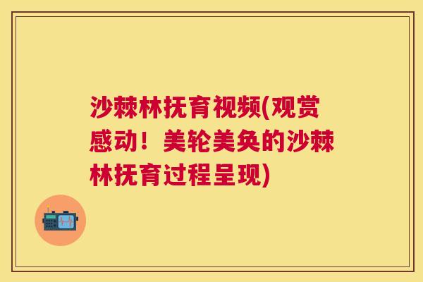 沙棘林抚育视频(观赏感动！美轮美奂的沙棘林抚育过程呈现)
