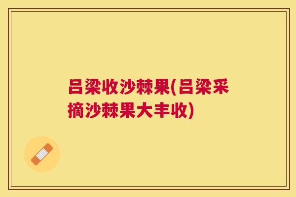吕梁收沙棘果(吕梁采摘沙棘果大丰收)