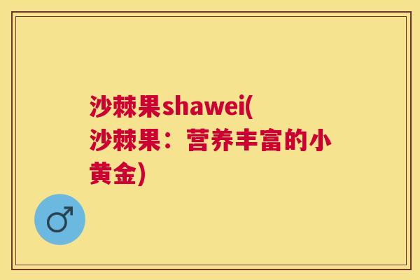 沙棘果shawei(沙棘果：营养丰富的小黄金)