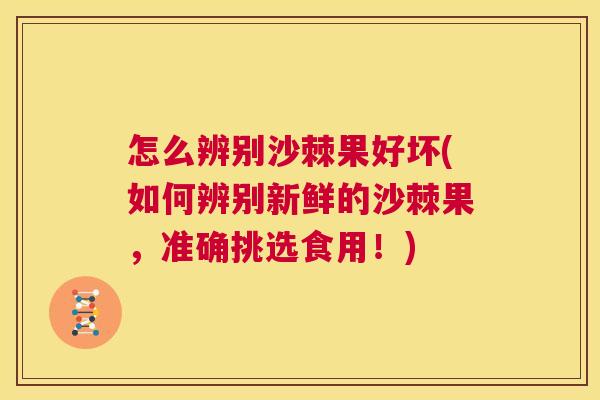 怎么辨别沙棘果好坏(如何辨别新鲜的沙棘果，准确挑选食用！)