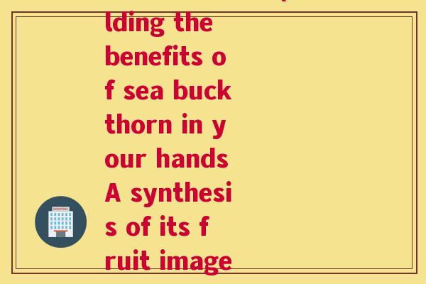 合成沙棘果图片(Holding the benefits of sea buckthorn in your hands A synthesis of its fruit image)