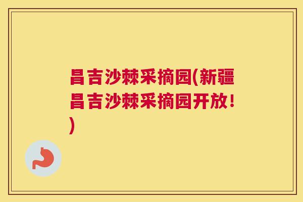 昌吉沙棘采摘园(新疆昌吉沙棘采摘园开放！)