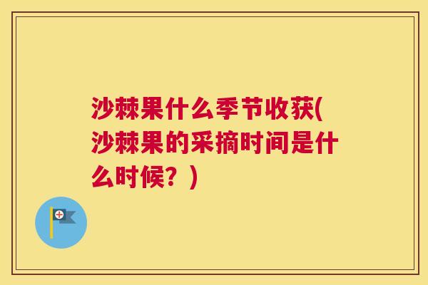沙棘果什么季节收获(沙棘果的采摘时间是什么时候？)