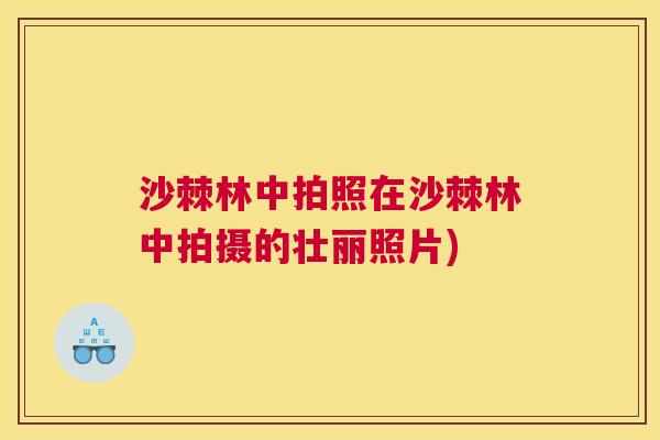 沙棘林中拍照在沙棘林中拍摄的壮丽照片)