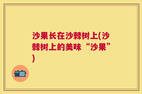 沙果长在沙棘树上(沙棘树上的美味“沙果”)