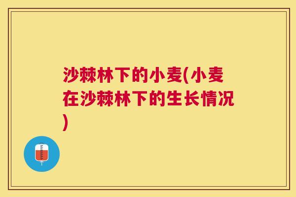 沙棘林下的小麦(小麦在沙棘林下的生长情况)