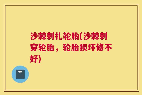 沙棘刺扎轮胎(沙棘刺穿轮胎，轮胎损坏修不好)