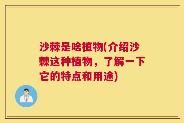 沙棘是啥植物(介绍沙棘这种植物，了解一下它的特点和用途)