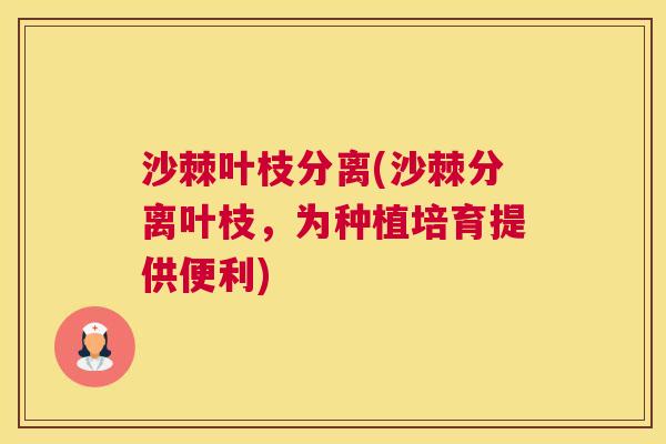 沙棘叶枝分离(沙棘分离叶枝，为种植培育提供便利)