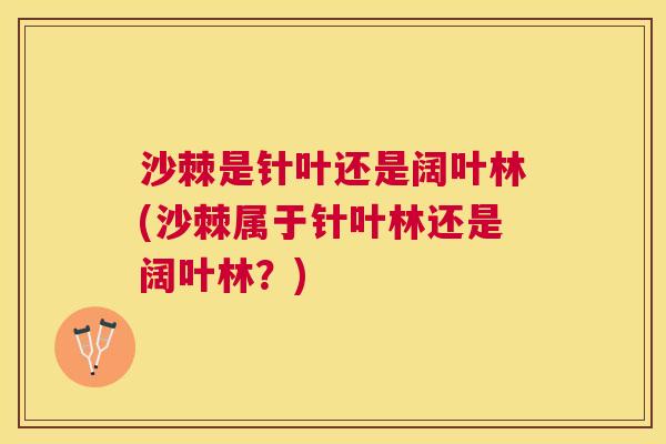 沙棘是针叶还是阔叶林(沙棘属于针叶林还是阔叶林？)