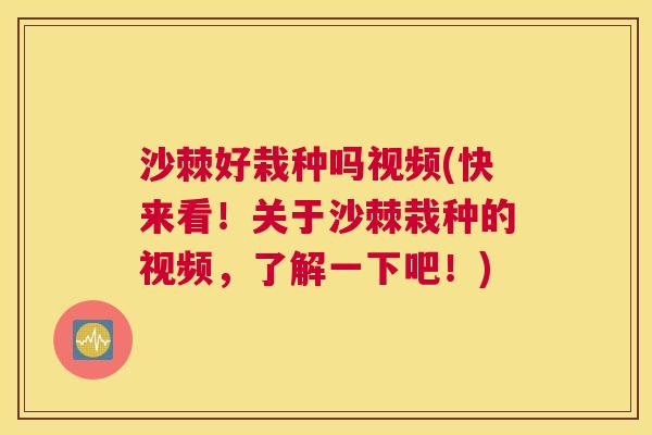 沙棘好栽种吗视频(快来看！关于沙棘栽种的视频，了解一下吧！)