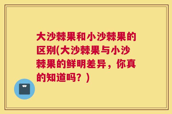 大沙棘果和小沙棘果的区别(大沙棘果与小沙棘果的鲜明差异，你真的知道吗？)